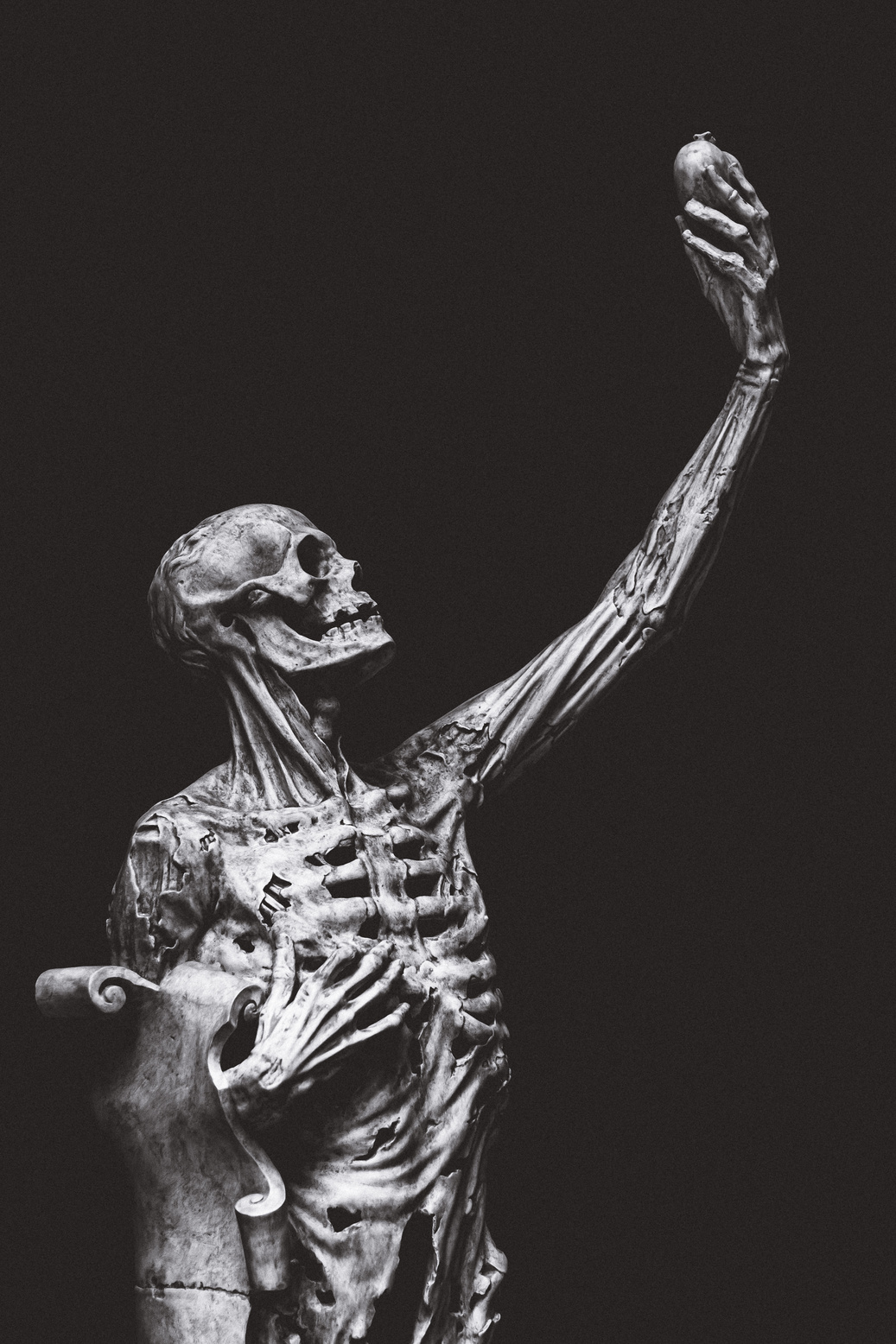 Statue of human skeleton on black background