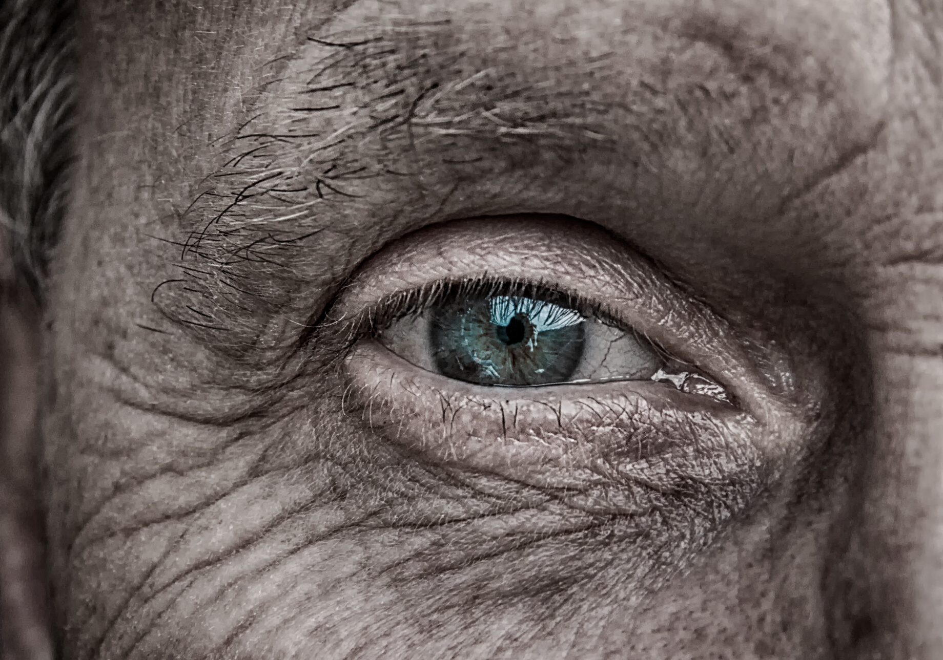 Eye of an Old Person
